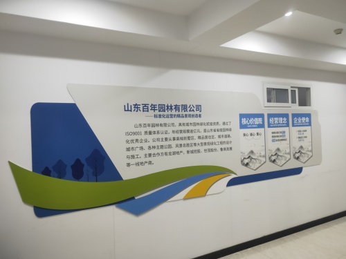 mmexport1610617960560.jpg